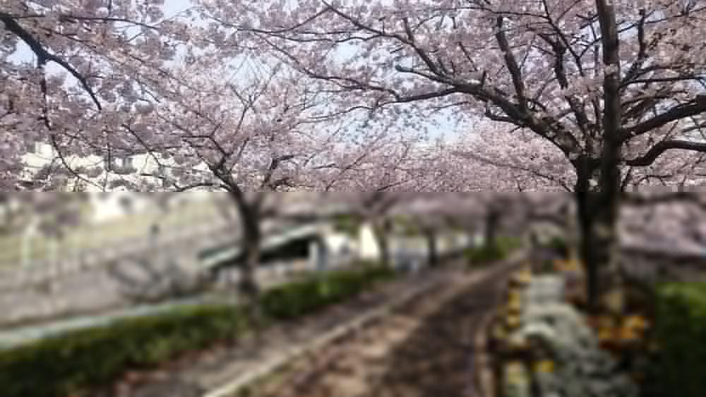 Henn na Hotel Maihama Tokyo Bay Urayasu Eksteriør billede